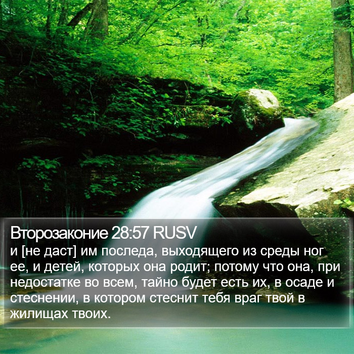 Второзаконие 28:57 RUSV Bible Study