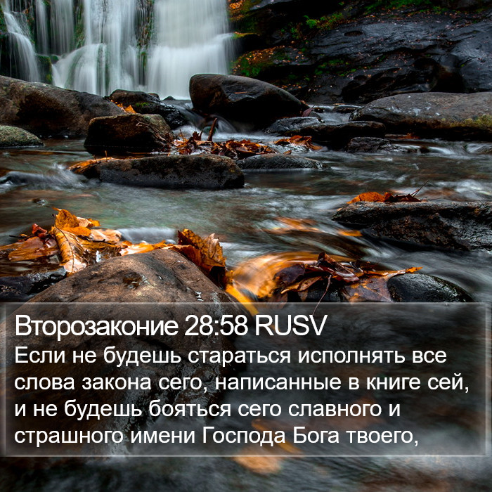 Второзаконие 28:58 RUSV Bible Study