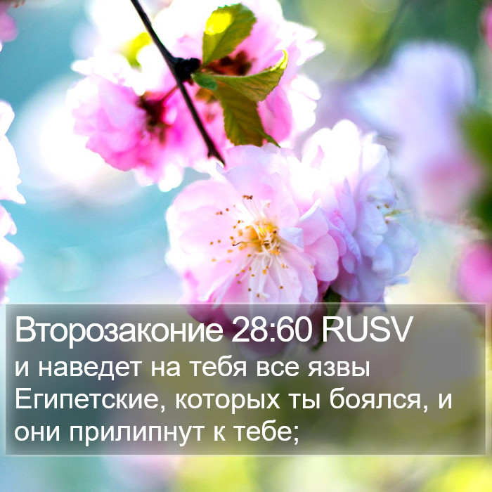 Второзаконие 28:60 RUSV Bible Study