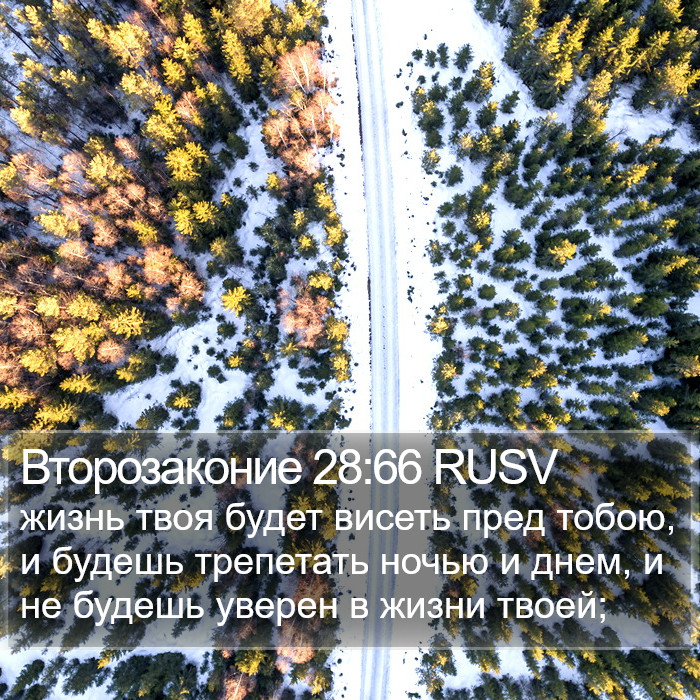 Второзаконие 28:66 RUSV Bible Study