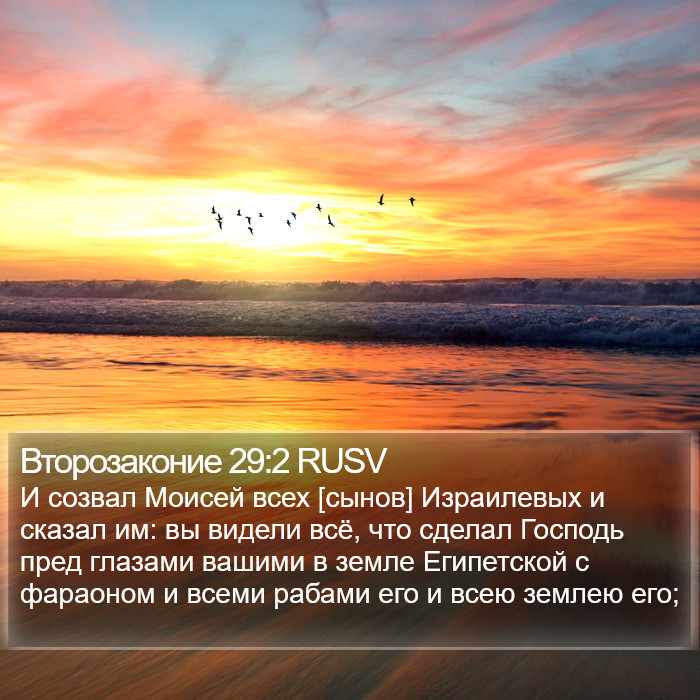 Второзаконие 29:2 RUSV Bible Study