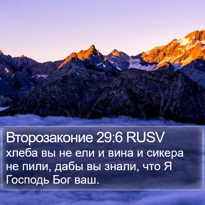 Второзаконие 29:6 RUSV Bible Study