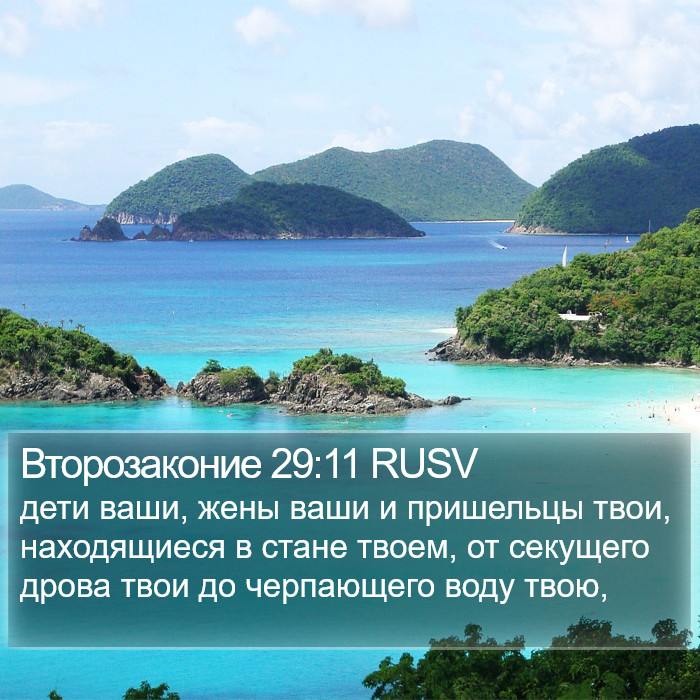 Второзаконие 29:11 RUSV Bible Study