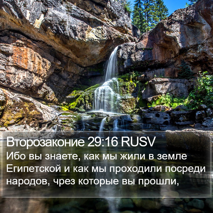 Второзаконие 29:16 RUSV Bible Study