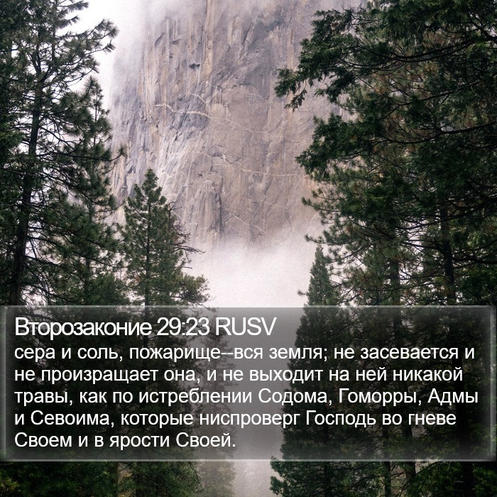 Второзаконие 29:23 RUSV Bible Study