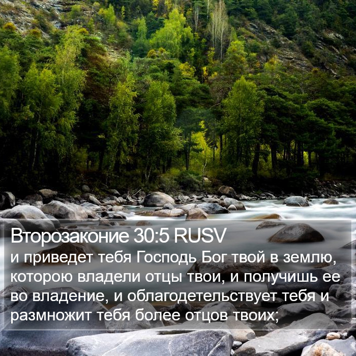 Второзаконие 30:5 RUSV Bible Study