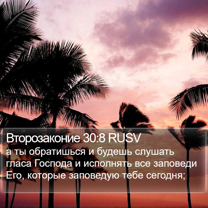 Второзаконие 30:8 RUSV Bible Study