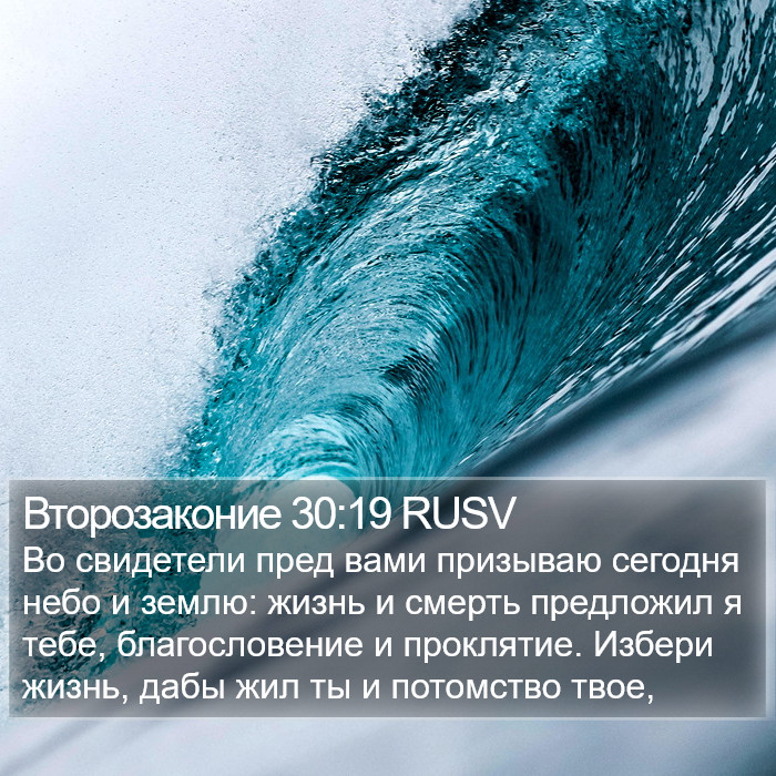 Второзаконие 30:19 RUSV Bible Study