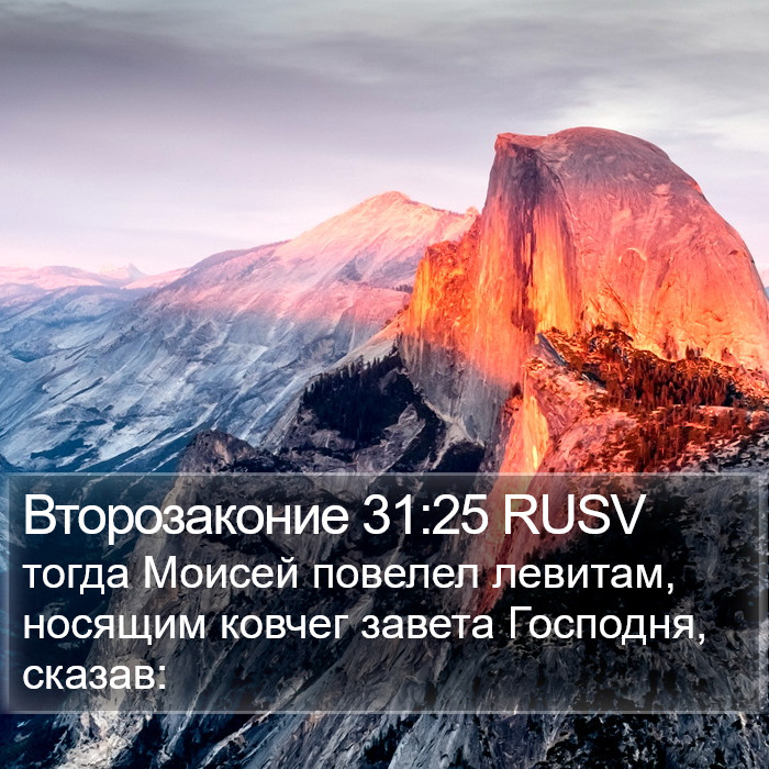 Второзаконие 31:25 RUSV Bible Study