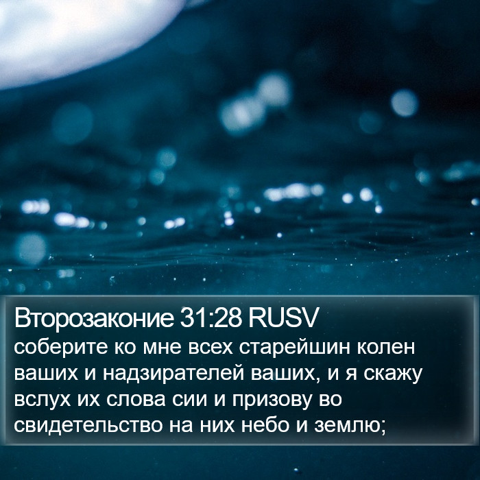 Второзаконие 31:28 RUSV Bible Study