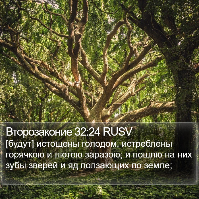 Второзаконие 32:24 RUSV Bible Study