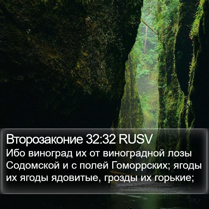 Второзаконие 32:32 RUSV Bible Study