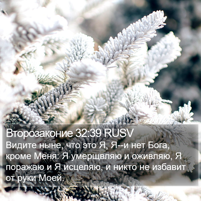 Второзаконие 32:39 RUSV Bible Study