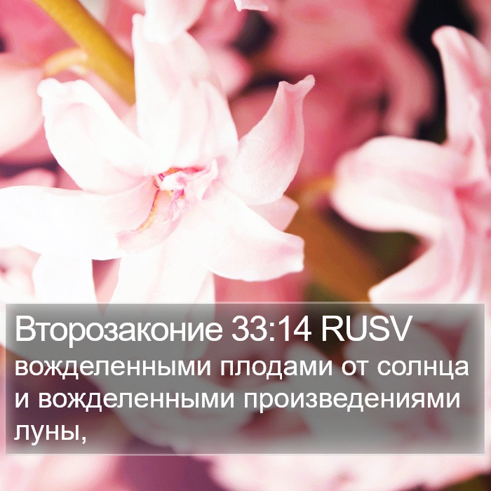 Второзаконие 33:14 RUSV Bible Study