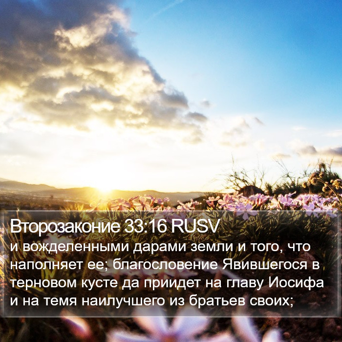 Второзаконие 33:16 RUSV Bible Study