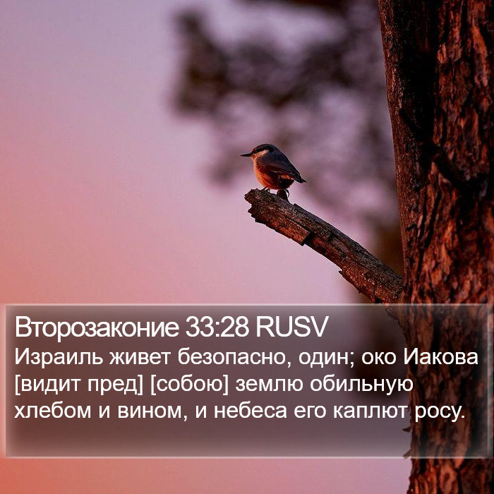 Второзаконие 33:28 RUSV Bible Study