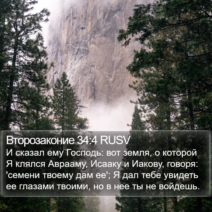 Второзаконие 34:4 RUSV Bible Study