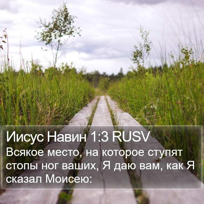 Иисус Навин 1:3 RUSV Bible Study