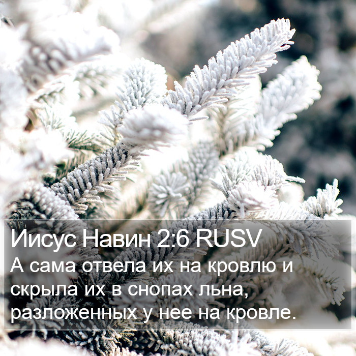 Иисус Навин 2:6 RUSV Bible Study