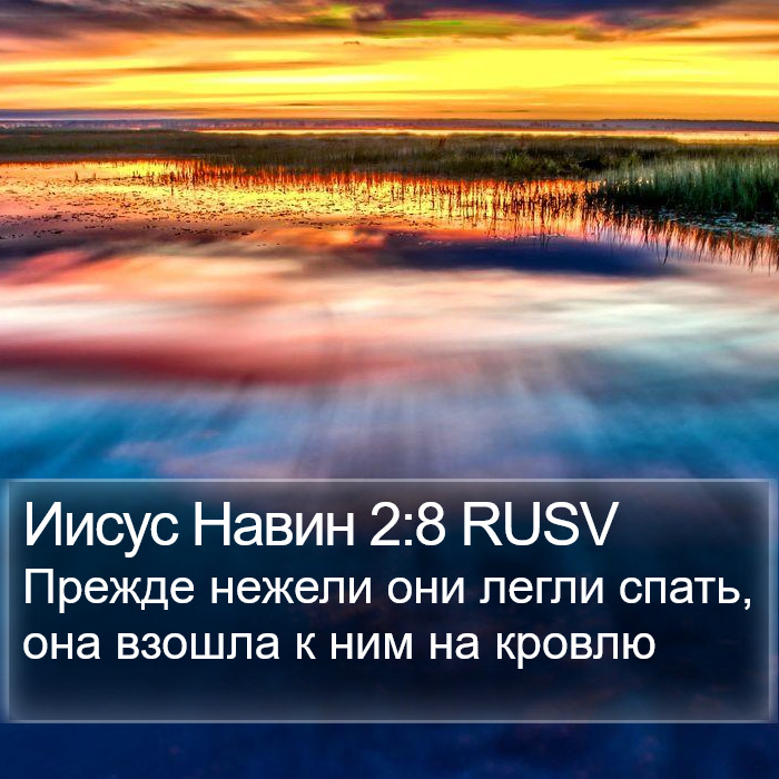 Иисус Навин 2:8 RUSV Bible Study