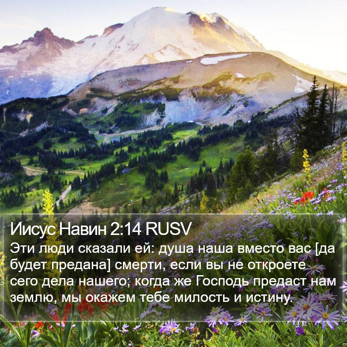 Иисус Навин 2:14 RUSV Bible Study