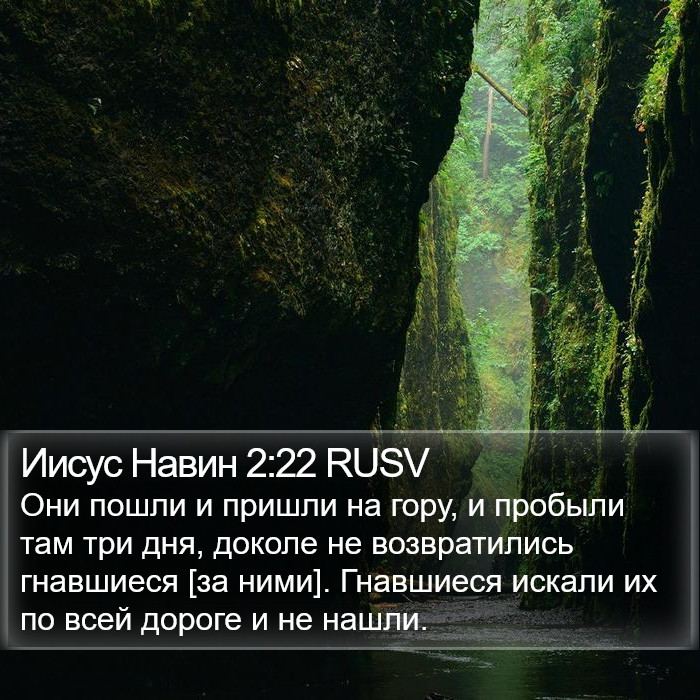 Иисус Навин 2:22 RUSV Bible Study