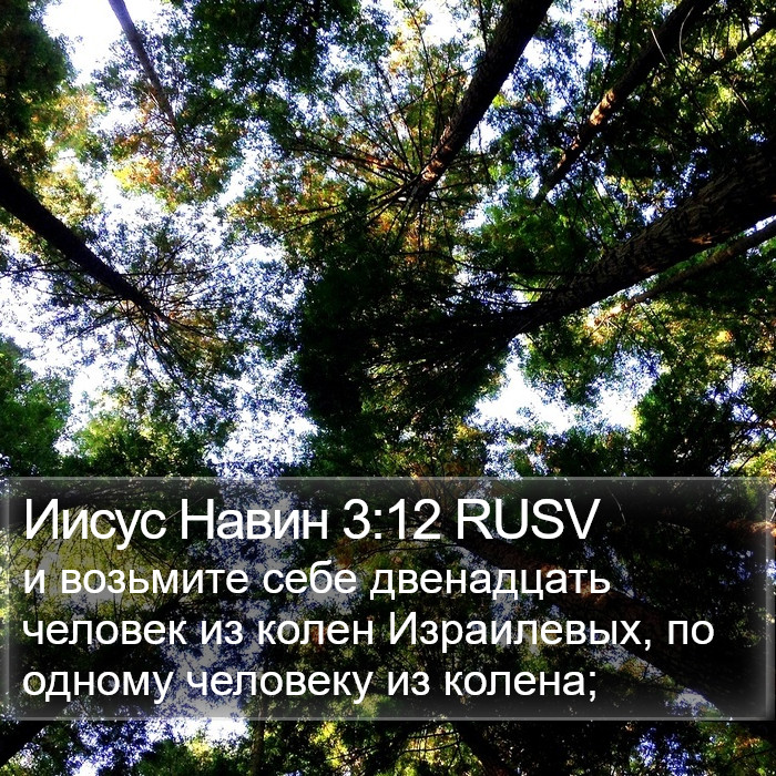 Иисус Навин 3:12 RUSV Bible Study