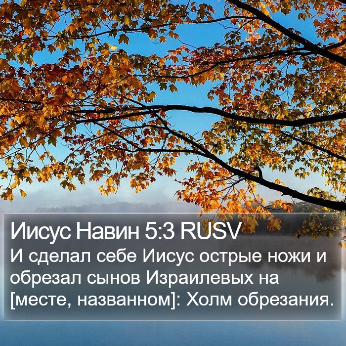 Иисус Навин 5:3 RUSV Bible Study