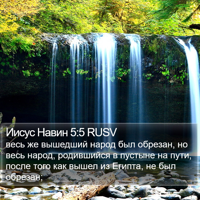 Иисус Навин 5:5 RUSV Bible Study