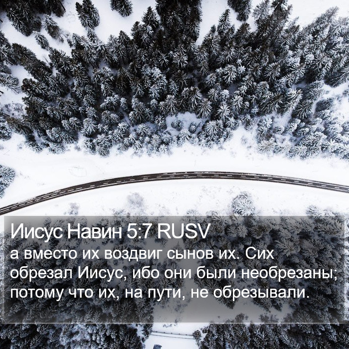 Иисус Навин 5:7 RUSV Bible Study