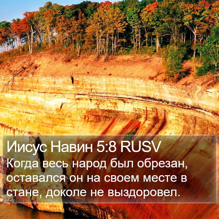 Иисус Навин 5:8 RUSV Bible Study