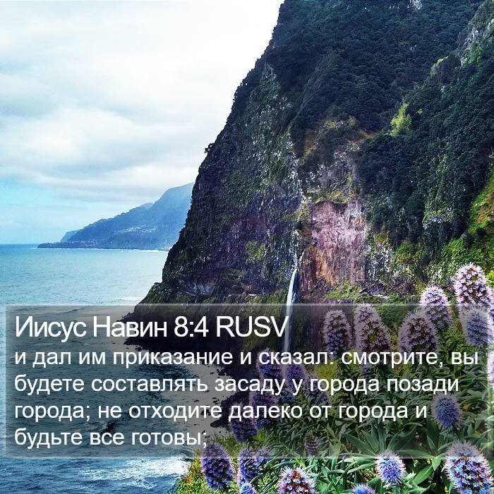 Иисус Навин 8:4 RUSV Bible Study