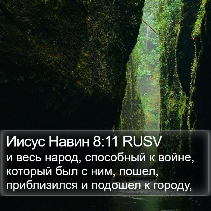 Иисус Навин 8:11 RUSV Bible Study