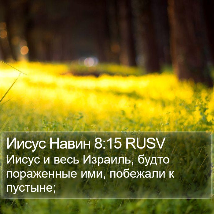 Иисус Навин 8:15 RUSV Bible Study