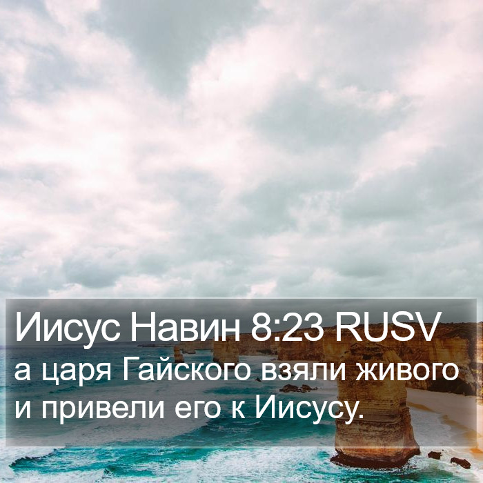 Иисус Навин 8:23 RUSV Bible Study