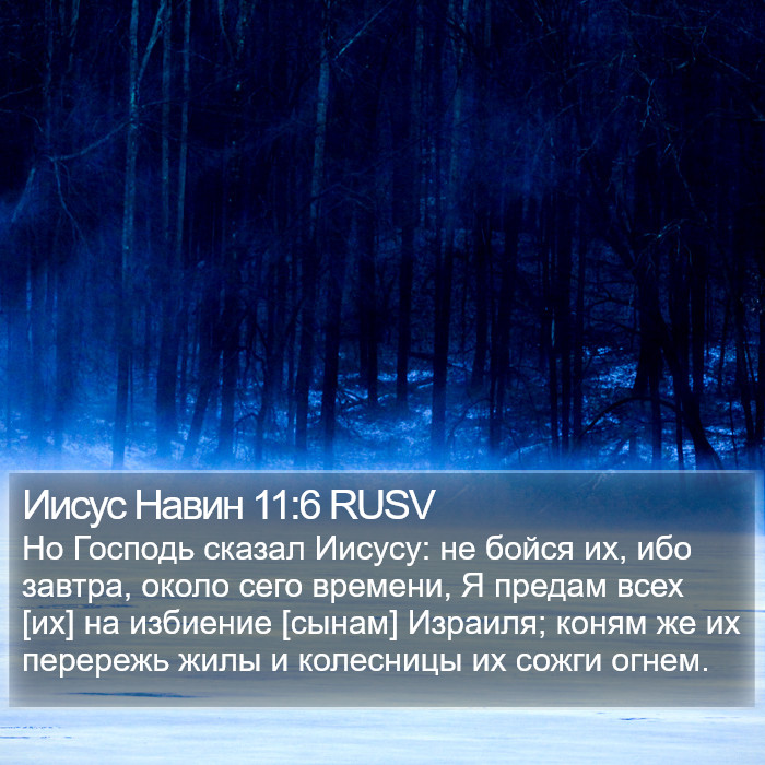 Иисус Навин 11:6 RUSV Bible Study