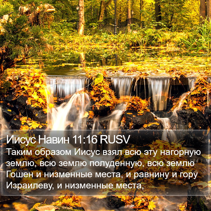 Иисус Навин 11:16 RUSV Bible Study