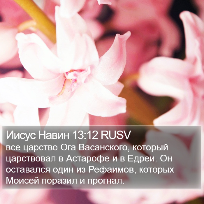 Иисус Навин 13:12 RUSV Bible Study