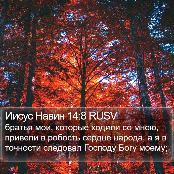 Иисус Навин 14:8 RUSV Bible Study