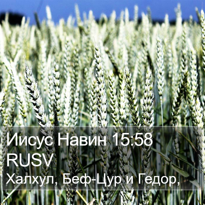 Иисус Навин 15:58 RUSV Bible Study