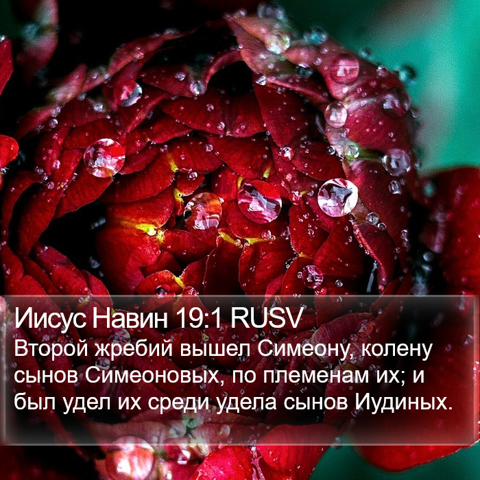 Иисус Навин 19:1 RUSV Bible Study