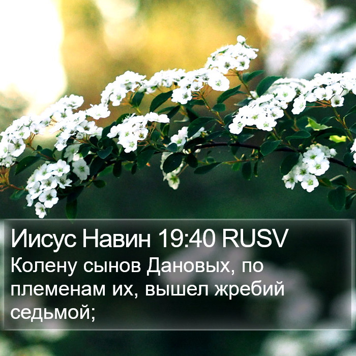 Иисус Навин 19:40 RUSV Bible Study