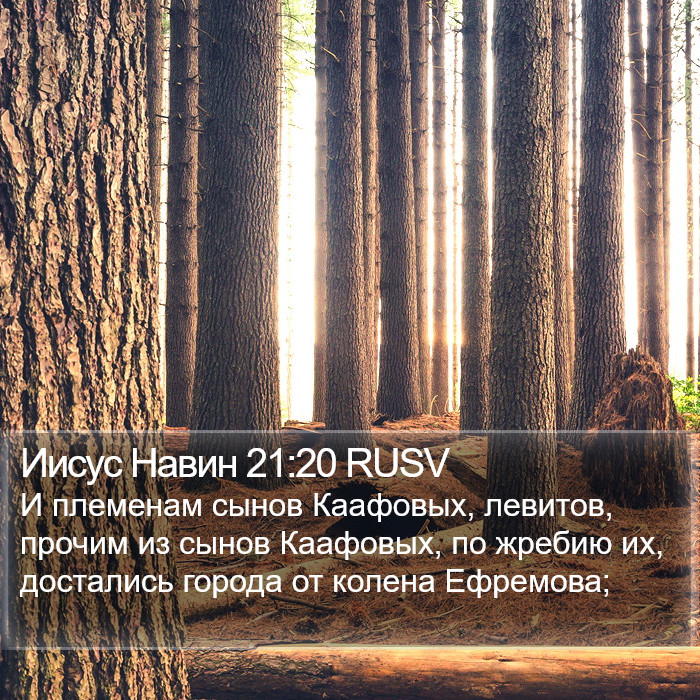 Иисус Навин 21:20 RUSV Bible Study