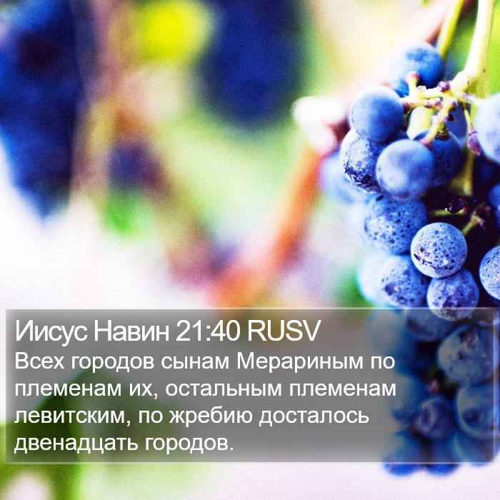 Иисус Навин 21:40 RUSV Bible Study