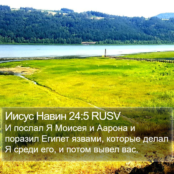 Иисус Навин 24:5 RUSV Bible Study