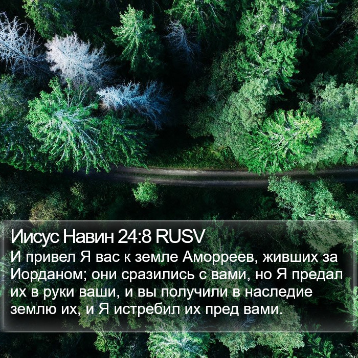 Иисус Навин 24:8 RUSV Bible Study