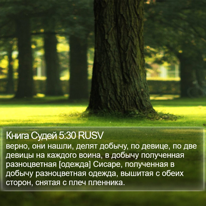 Книга Судей 5:30 RUSV Bible Study