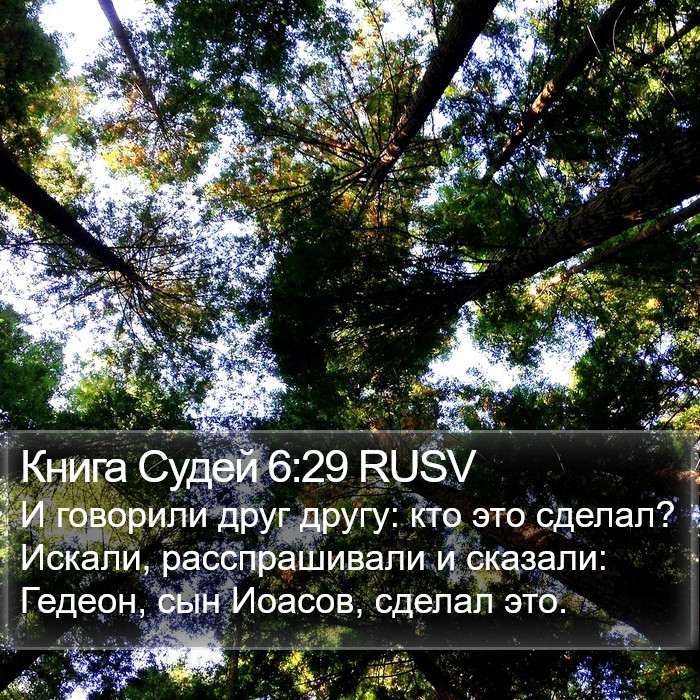 Книга Судей 6:29 RUSV Bible Study