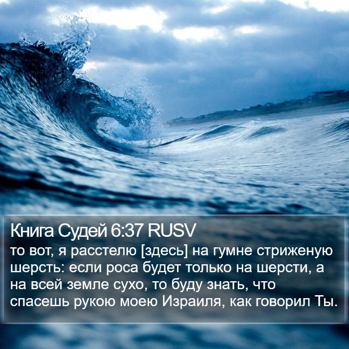 Книга Судей 6:37 RUSV Bible Study