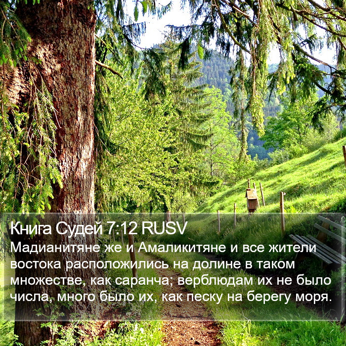 Книга Судей 7:12 RUSV Bible Study